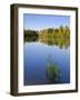 St. Mang Monastery and Basilica Reflected in the River Lech, Fussen, Bavaria (Bayern), Germany-Gary Cook-Framed Photographic Print