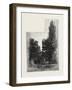 St. Mark's Church, Niagara, Canada, Nineteenth Century-null-Framed Giclee Print