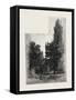 St. Mark's Church, Niagara, Canada, Nineteenth Century-null-Framed Stretched Canvas