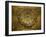 St Marks Basilica, Venice, 10th Century-null-Framed Photographic Print