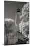 St. Marks Lighthouse-George Johnson-Mounted Photographic Print