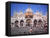 St Marks Square and Basilica, Venice, Italy-Peter Thompson-Framed Stretched Canvas