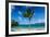 St. Martin, French territory, West Indies, Caribbean, Central America-Michael Runkel-Framed Photographic Print