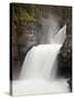 St. Mary Falls, Glacier National Park, Montana, United States of America, North America-James Hager-Stretched Canvas