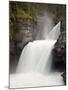 St. Mary Falls, Glacier National Park, Montana, United States of America, North America-James Hager-Mounted Photographic Print