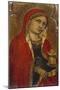 St Mary Magdalene - a Fragment from an Altarpiece-Taddeo di Bartolo-Mounted Giclee Print