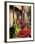 St. Mary Magdalene and St. Catherine of Alexandria-Konrad Witz-Framed Giclee Print