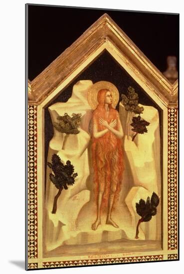 St. Mary Magdalene, from the St. Reparata Polyptych (Detail)-Giotto di Bondone-Mounted Giclee Print