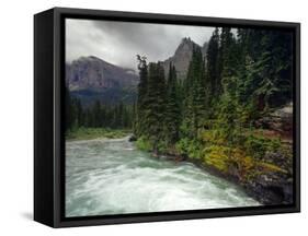 St Mary River on a Stormy Day in Glacier National Park, Montana, USA-Chuck Haney-Framed Stretched Canvas