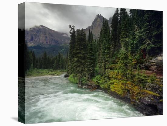 St Mary River on a Stormy Day in Glacier National Park, Montana, USA-Chuck Haney-Stretched Canvas