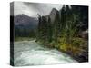 St Mary River on a Stormy Day in Glacier National Park, Montana, USA-Chuck Haney-Stretched Canvas