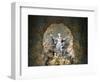 St. Mary's Assumption, Sainte-Marie Des Batignolles Church, Paris, France, Europe-Godong-Framed Photographic Print