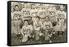 St. Mary's Baseball Team-null-Framed Stretched Canvas