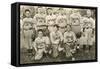 St. Mary's Baseball Team-null-Framed Stretched Canvas