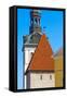 St. Mary's Cathedral spire and Maiden Tower in the old town, Tallinn, Estonia-Keren Su-Framed Stretched Canvas