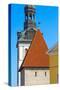 St. Mary's Cathedral spire and Maiden Tower in the old town, Tallinn, Estonia-Keren Su-Stretched Canvas