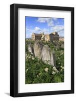 St. Mary's Church, Gravestones in Churchyard Surrounded by Cow Parsely Flowers in Spring, Whitby-Eleanor Scriven-Framed Photographic Print