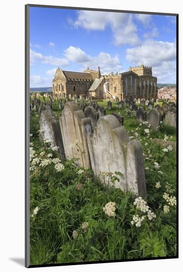 St. Mary's Church, Gravestones in Churchyard Surrounded by Cow Parsely Flowers in Spring, Whitby-Eleanor Scriven-Mounted Photographic Print