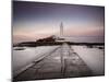 St. Mary's Island and St. Mary's Lighthouse at Dusk, Near Whitley Bay, Tyne and Wear, England, UK-Lee Frost-Mounted Photographic Print