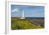 St. Mary's Lighthouse, Whitley Bay, Northumbria, England, United Kingdom, Europe-James Emmerson-Framed Photographic Print