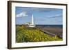 St. Mary's Lighthouse, Whitley Bay, Northumbria, England, United Kingdom, Europe-James Emmerson-Framed Photographic Print