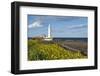 St. Mary's Lighthouse, Whitley Bay, Northumbria, England, United Kingdom, Europe-James Emmerson-Framed Photographic Print