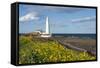 St. Mary's Lighthouse, Whitley Bay, Northumbria, England, United Kingdom, Europe-James Emmerson-Framed Stretched Canvas