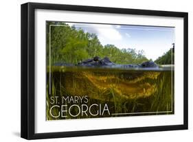 St. Marys, Georgia - Alligator Underwater-Lantern Press-Framed Art Print