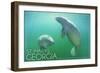 St. Marys, Georgia - Manatees Underwater-Lantern Press-Framed Art Print