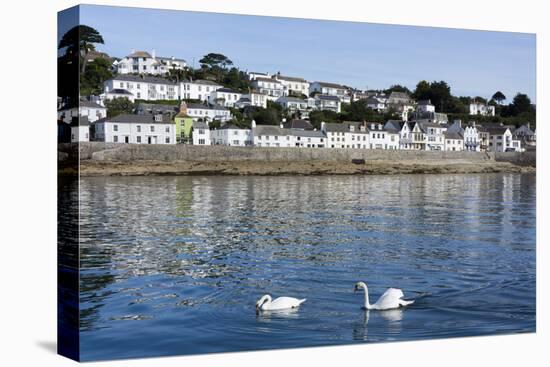 St. Mawes, Cornwall, England, United Kingdom, Europe-Peter Groenendijk-Stretched Canvas