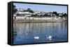 St. Mawes, Cornwall, England, United Kingdom, Europe-Peter Groenendijk-Framed Stretched Canvas