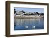 St. Mawes, Cornwall, England, United Kingdom, Europe-Peter Groenendijk-Framed Photographic Print