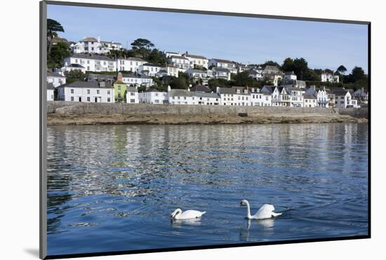 St. Mawes, Cornwall, England, United Kingdom, Europe-Peter Groenendijk-Mounted Photographic Print