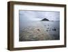 St. Michael's Mount and Causeway, Marazion, Near Penzance, Cornwall, England-Stuart Black-Framed Photographic Print