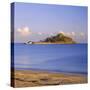 St. Michael's Mount, Cornwall, England, UK-Roy Rainford-Stretched Canvas