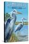 St. Michaels, Maryland - Blue Herons-Lantern Press-Stretched Canvas