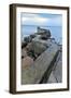 St. Monan's Pier, Fife, Scotland, United Kingdom, Europe-Karen Deakin-Framed Photographic Print