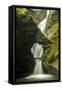 St Nectan'S Kieve, A Sixty Foot Waterfall, Saint Nectan'S Glen-Ross Hoddinott-Framed Stretched Canvas