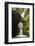 St Nectan'S Kieve, A Sixty Foot Waterfall, Saint Nectan'S Glen-Ross Hoddinott-Framed Photographic Print