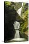 St Nectan'S Kieve, A Sixty Foot Waterfall, Saint Nectan'S Glen-Ross Hoddinott-Stretched Canvas