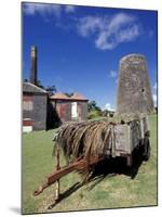 St. Nicholas Abbey Sugar Mill, St. Peter Parish, Barbados, Caribbean-Greg Johnston-Mounted Photographic Print