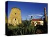 St. Nicholas Abbey Sugar Mill, St. Peter Parish, Barbados, Caribbean-Greg Johnston-Stretched Canvas