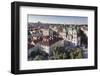 St. Nicholas Church and Castle District with Royal Palace and St. Vitus Cathedral-Markus-Framed Photographic Print