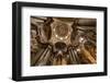 St. Nicholas Church Interior, Prague, Czech Republic, Europe-Ben Pipe-Framed Photographic Print