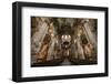 St. Nicholas Church Interior, Prague, Czech Republic, Europe-Ben Pipe-Framed Photographic Print