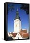 St. Nicholas Church, Old Town, Tallinn, Estonia-Dallas and John Heaton-Framed Stretched Canvas