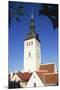 St. Nicholas Church, Old Town, Tallinn, Estonia-Dallas and John Heaton-Mounted Premium Photographic Print