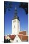 St. Nicholas Church, Old Town, Tallinn, Estonia-Dallas and John Heaton-Stretched Canvas