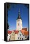 St. Nicholas Church, Tallinn, Estonia, Europe-Doug Pearson-Framed Stretched Canvas