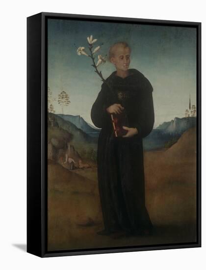 St. Nicholas of Tolentino-Francesco Ubertini (Bachiacca)-Framed Stretched Canvas